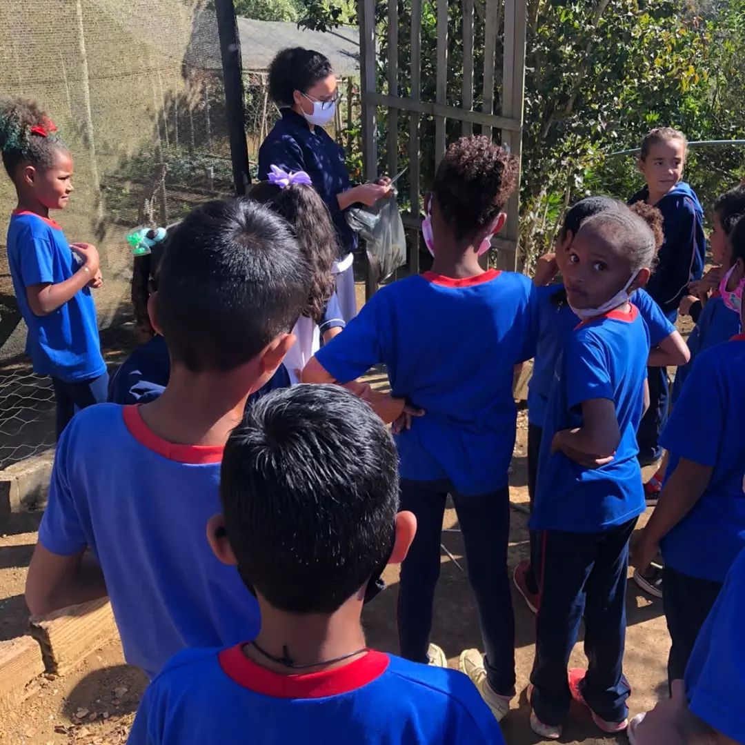 Projeto Horta Col�gio Passionista Santa Luzia