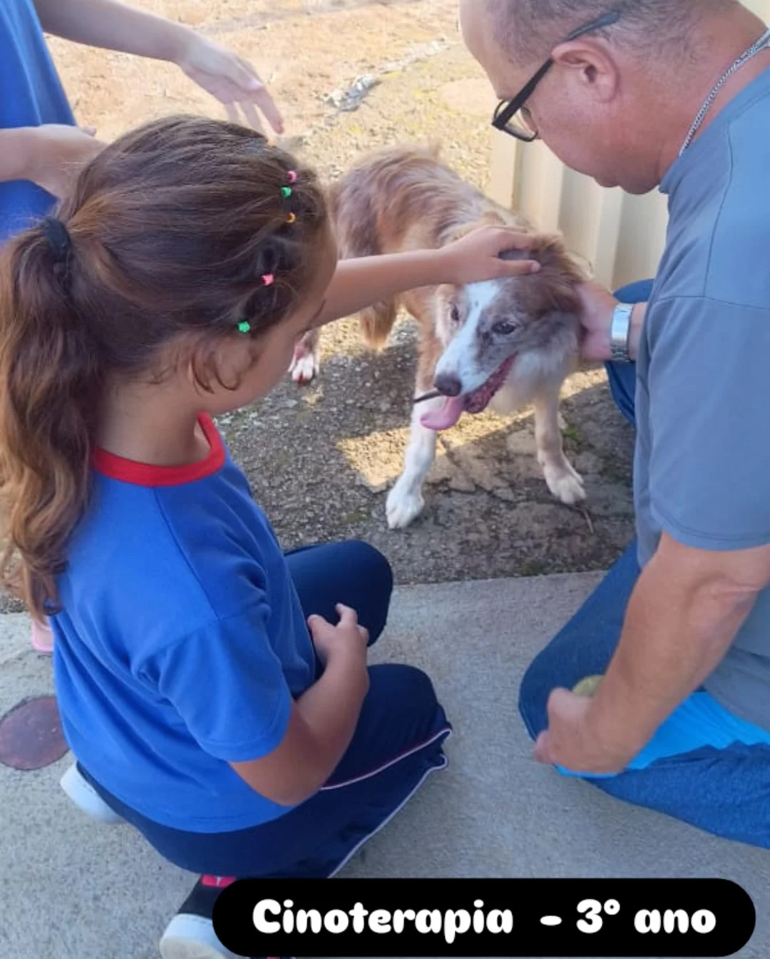 Cinoterapia - 3� Ano Col�gio Passionista Santa Luzia