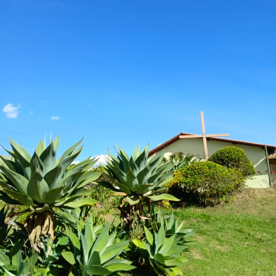 05 de Junho: Dia do Meio Ambiente Col�gio Passionista Santa Luzia