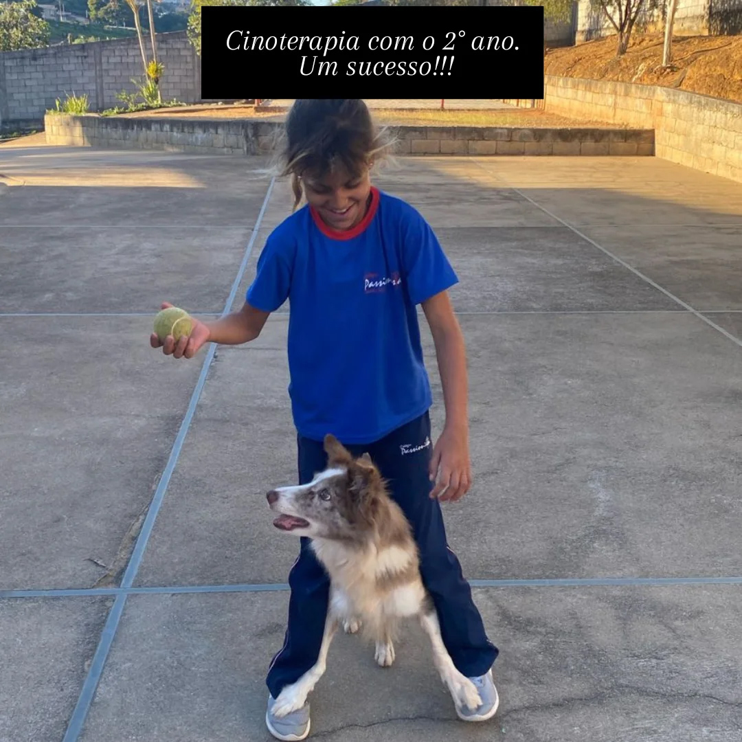 Cinoterapia Col�gio Passionista Santa Luzia